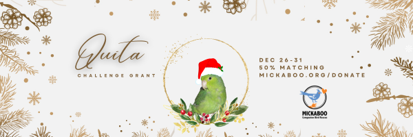 Quita Challenge Grant. Dec 26-31, 50% Matching. Mickaboo.org/Donate