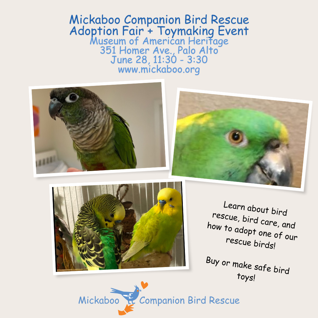 parrots